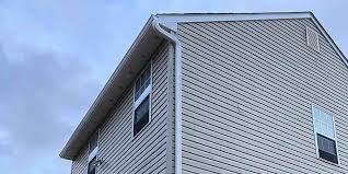 Best Custom Siding Design  in Colona, IL